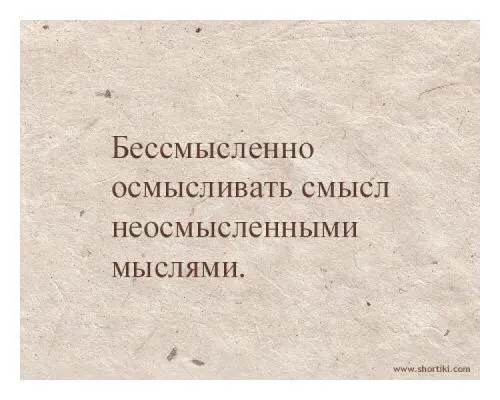 Бессмысленно осмысливать смысл. Бессмысленно осмысливать смысл