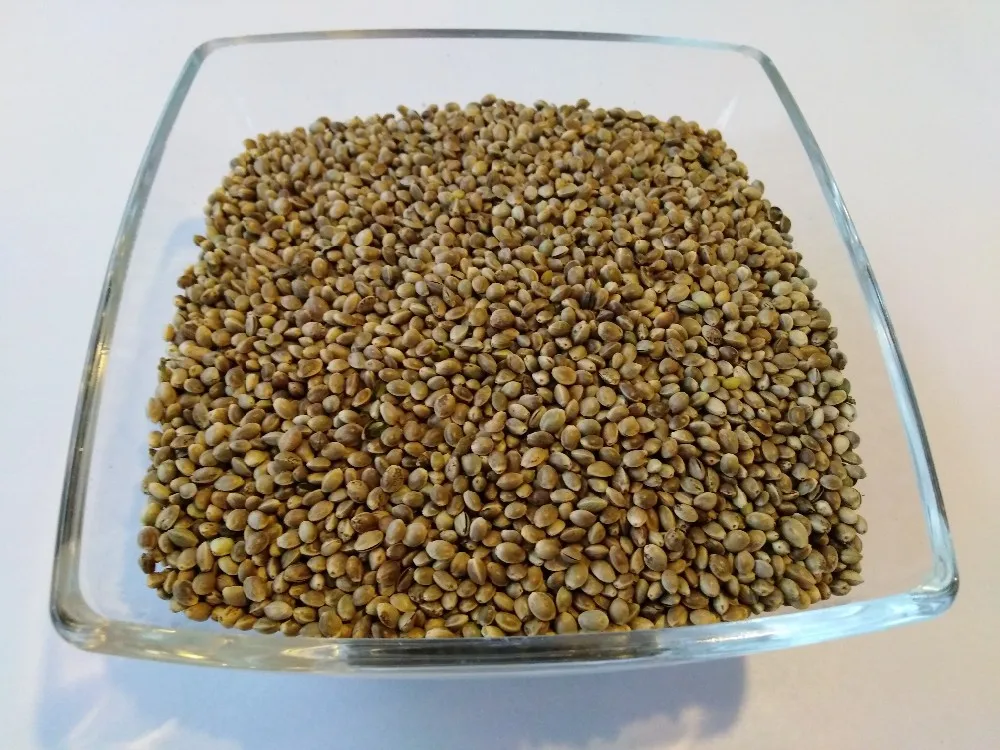 hemp seeds the best quality