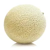 HAMI MELON JAPAN QUALITY
