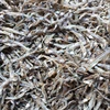 The best price of Dried Anchovy in Vietnam