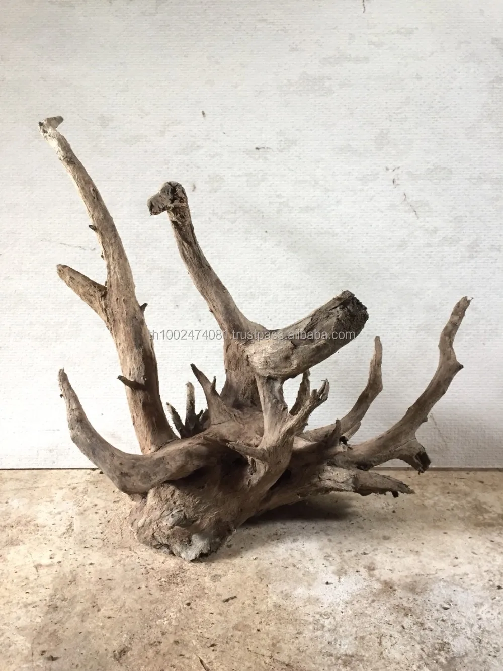 Tree Root Aquarium Decoration atelieryuwa.ciao.jp