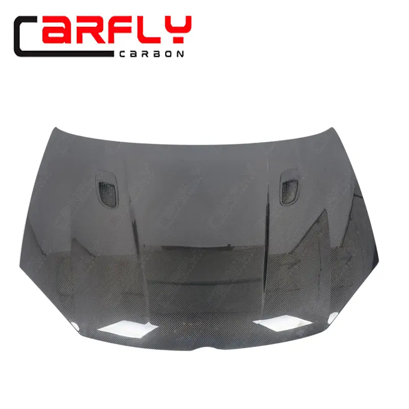 Golf5 MK5 Hood 04.jpg