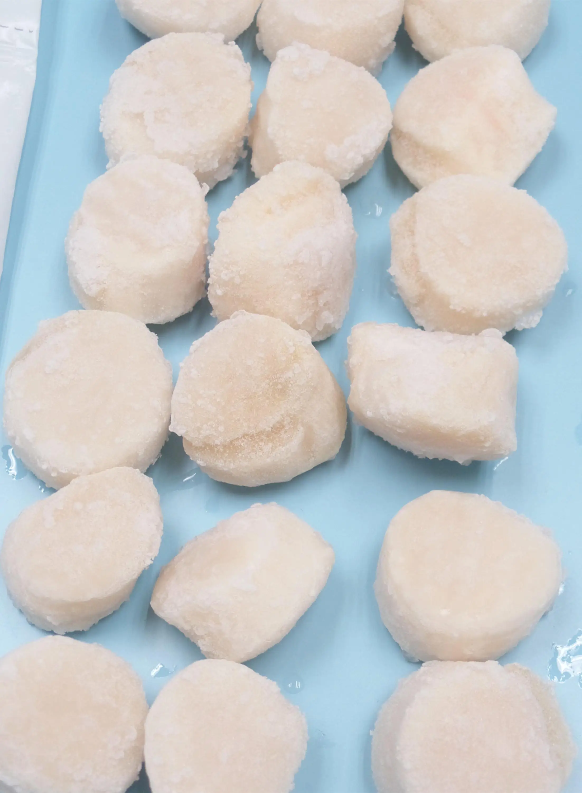 Scallop (canada) Buy Scallop Product on