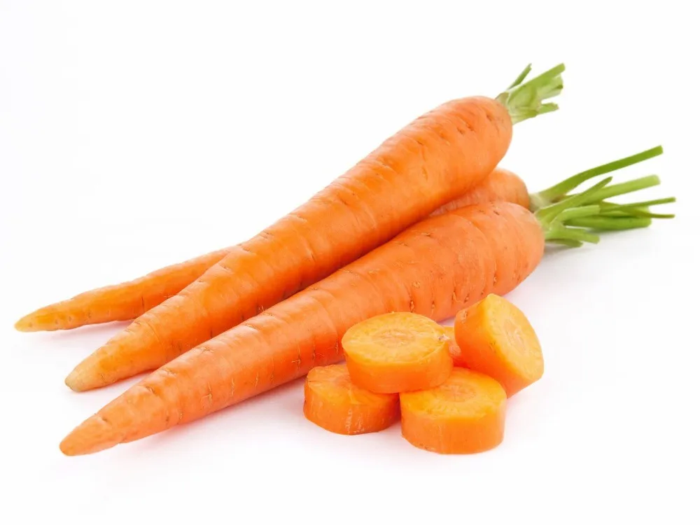 fresh carrot in viet nam/ high quality/ sweet/ whatsapp 84-845