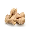 Ginger Oil Suppliers For Hair Care In India