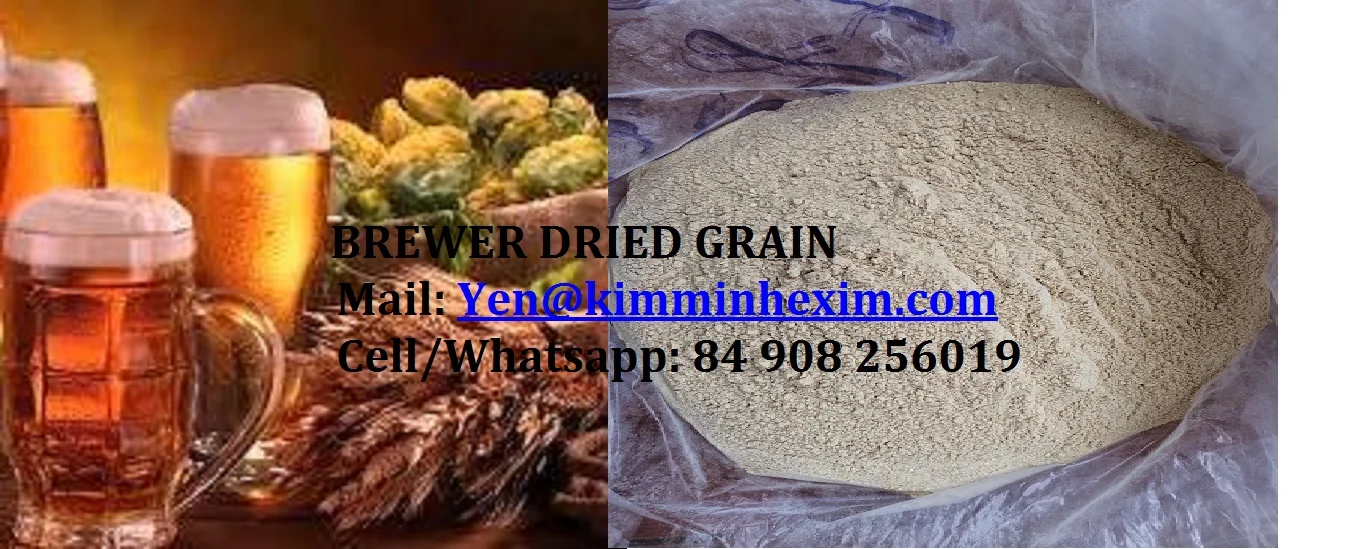 Dried Brewer Grain Dried Beer Brewer For Animal Feed Buy Dried