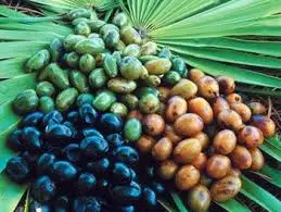 Saw Palmetto oil 1
