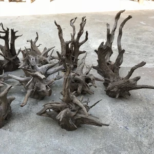 thailand driftwood thailand driftwood