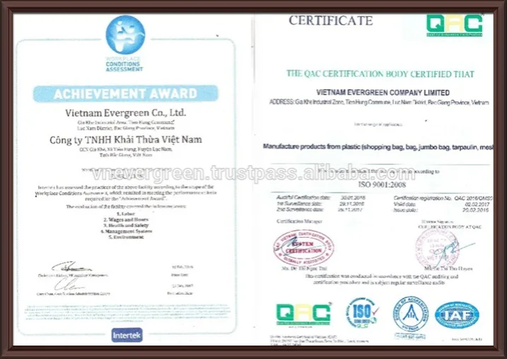 Fashional Bag PP Woven Shopping Bag