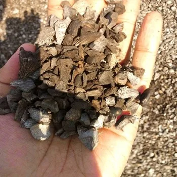 Palm Kernel Shell (7).jpg