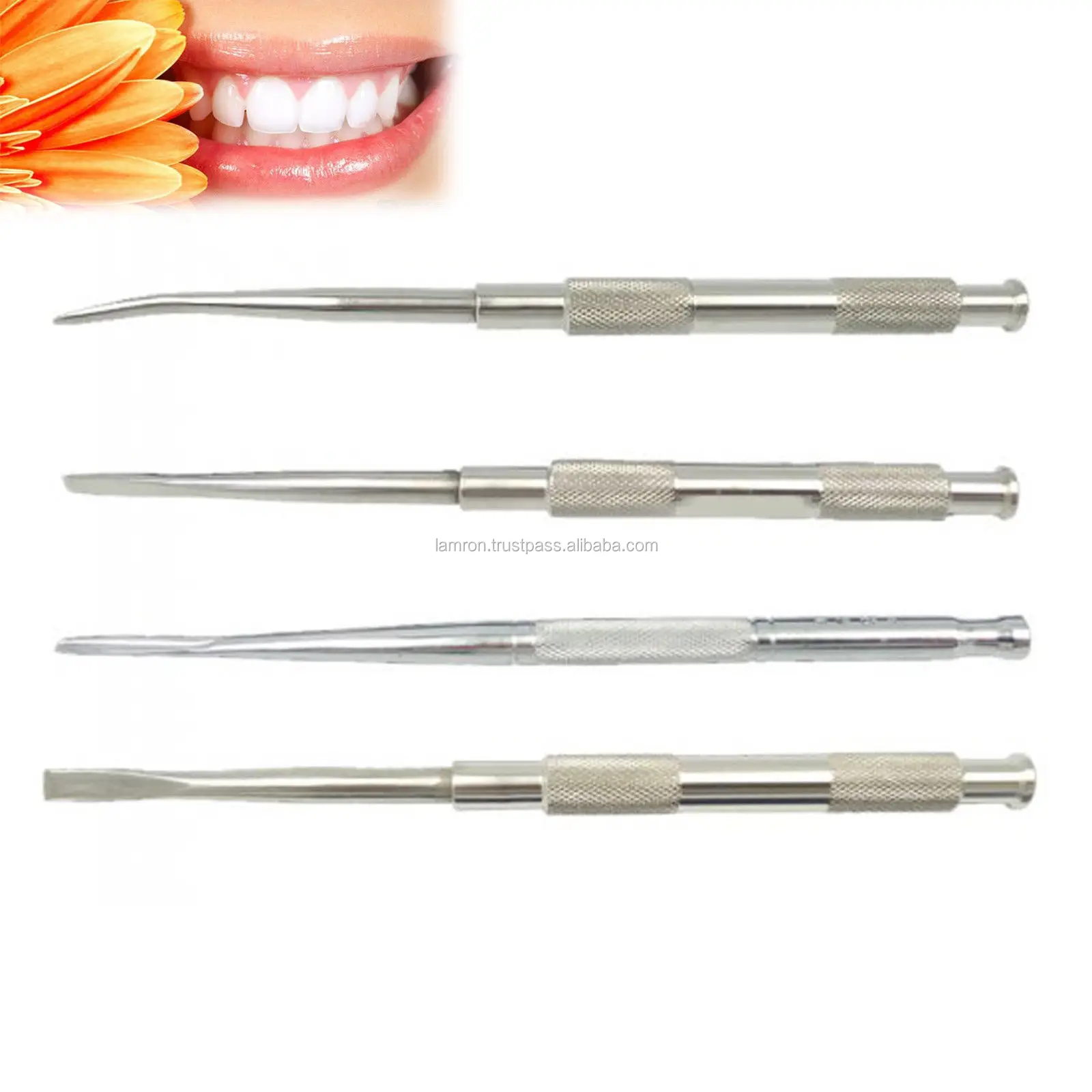 Best Quality Bone Chisel Stainless Steel Round Handle Surgical