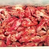 Frozen Crayfish / Frozen Crawfish / Cooked Crawfish