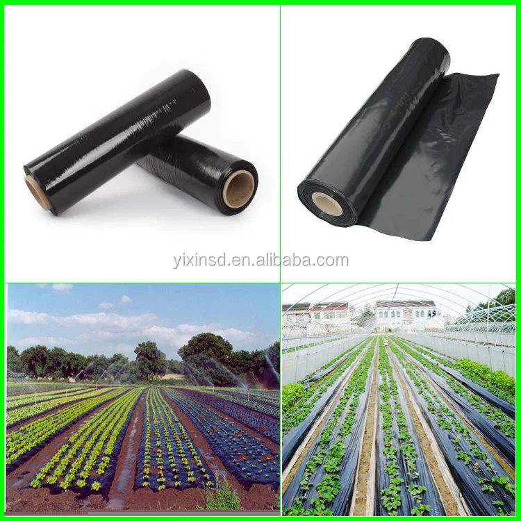 Used Plastic Mulch Layer On Garden For Sale With Good Price Buy Used