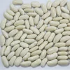 White Kidney Beans Long shape.
