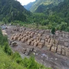 Beech - Fir Logs / Turkish Made Natural Beech - Fir Log / A-B-C Quality Beech - Fir Logs