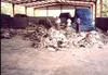 Wet salted cow skin, cow heads and animal skins,wet blue cow hides