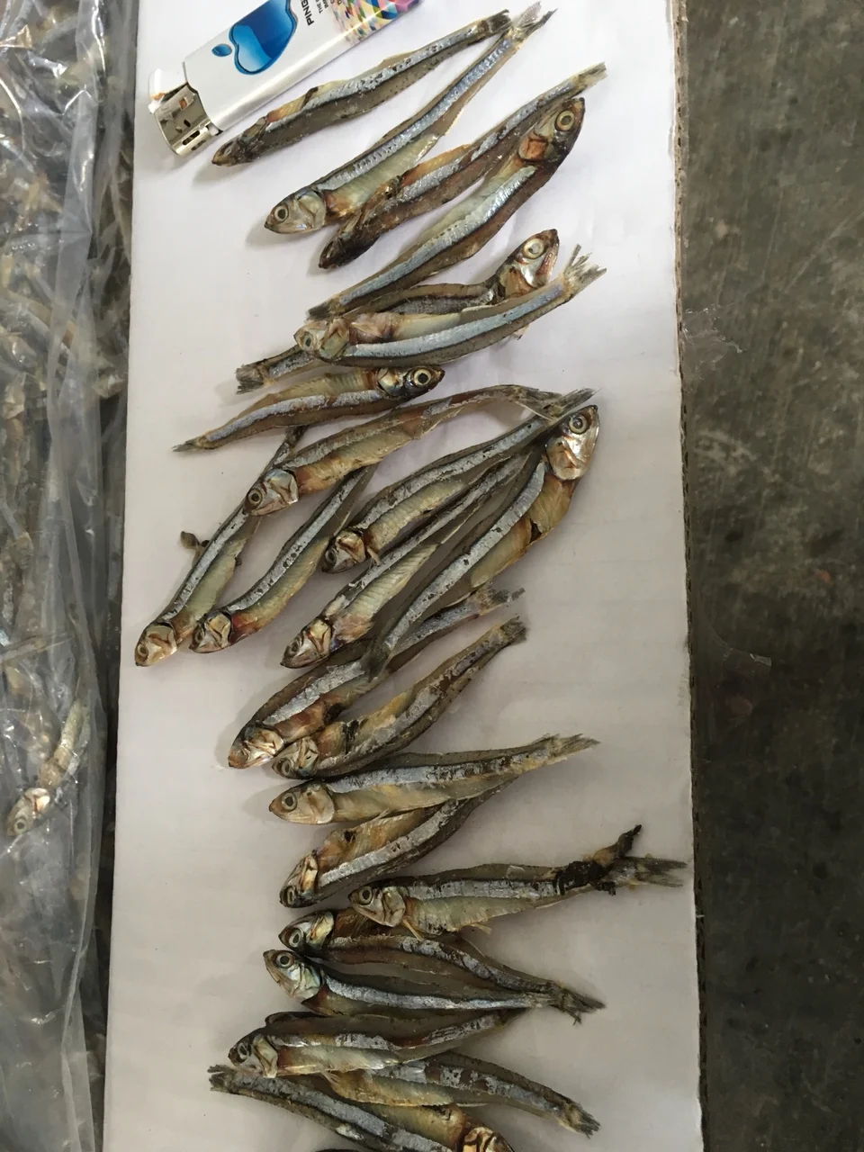 White Dried Anchovy With Lowest Price From Viet Nam (call 0084