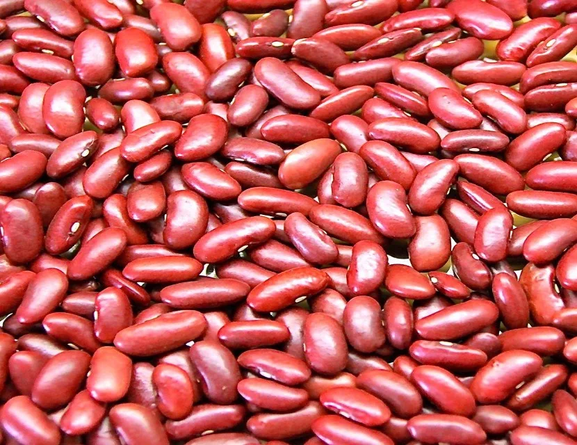 Black Kidney Beans/polished Black Kidney Beans - Buy Black Eye Beans ...