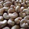 Cashew Nut