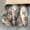 Japan Frozen Cod Fish Pacific Cod 400-600g With Good Price