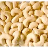 Cheap Raw Cashew Nuts/ Cashew Nut Size W180 W240 W320 W450/ Certified WW320 Dried Cashew nut