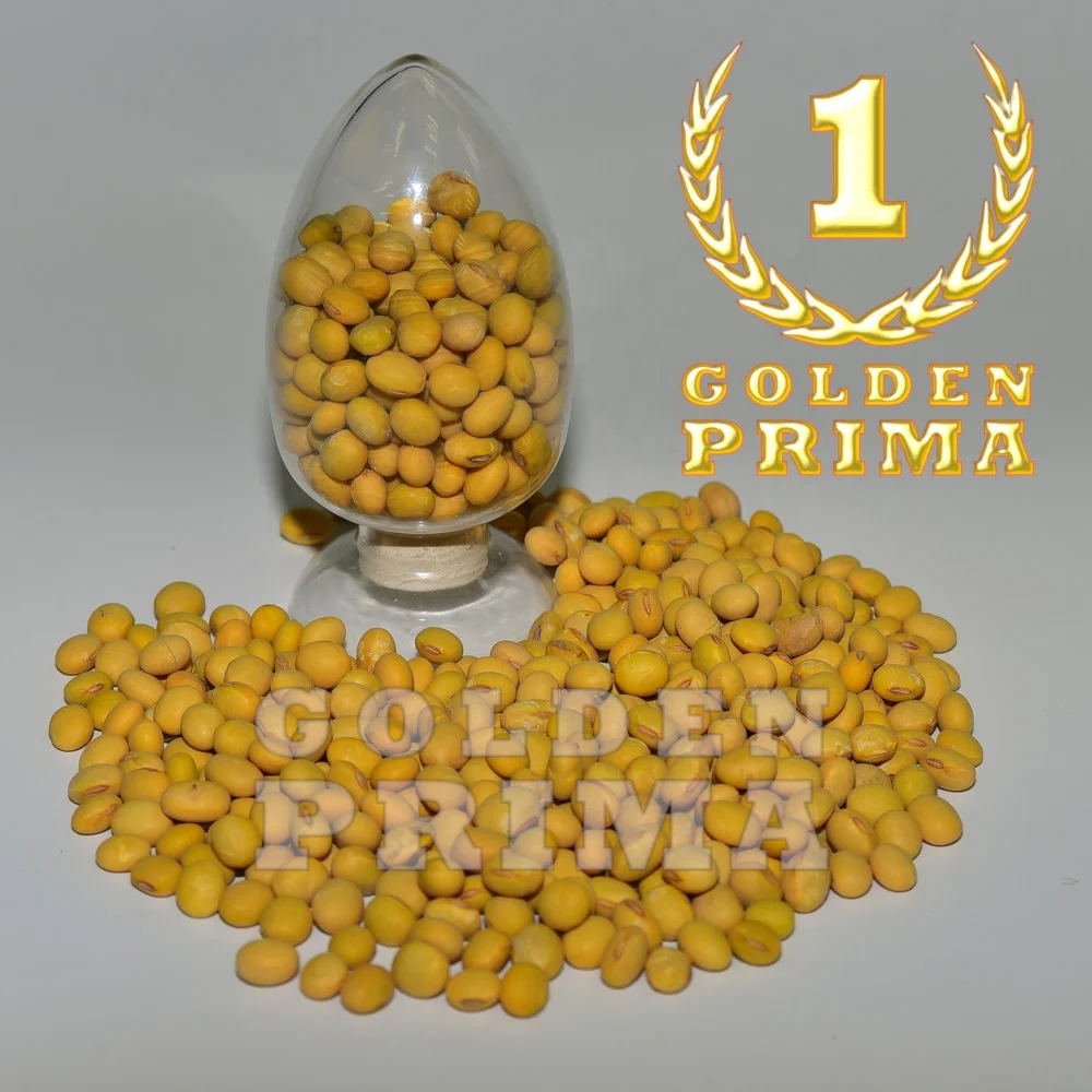 Organic Soy Beans Non Gmo Soybean Buy Soy Beans Wholesale Bulk Soy Beans Soybeans Product On Alibaba Com