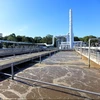 Specialized Bacteria For Activated Sludge Process