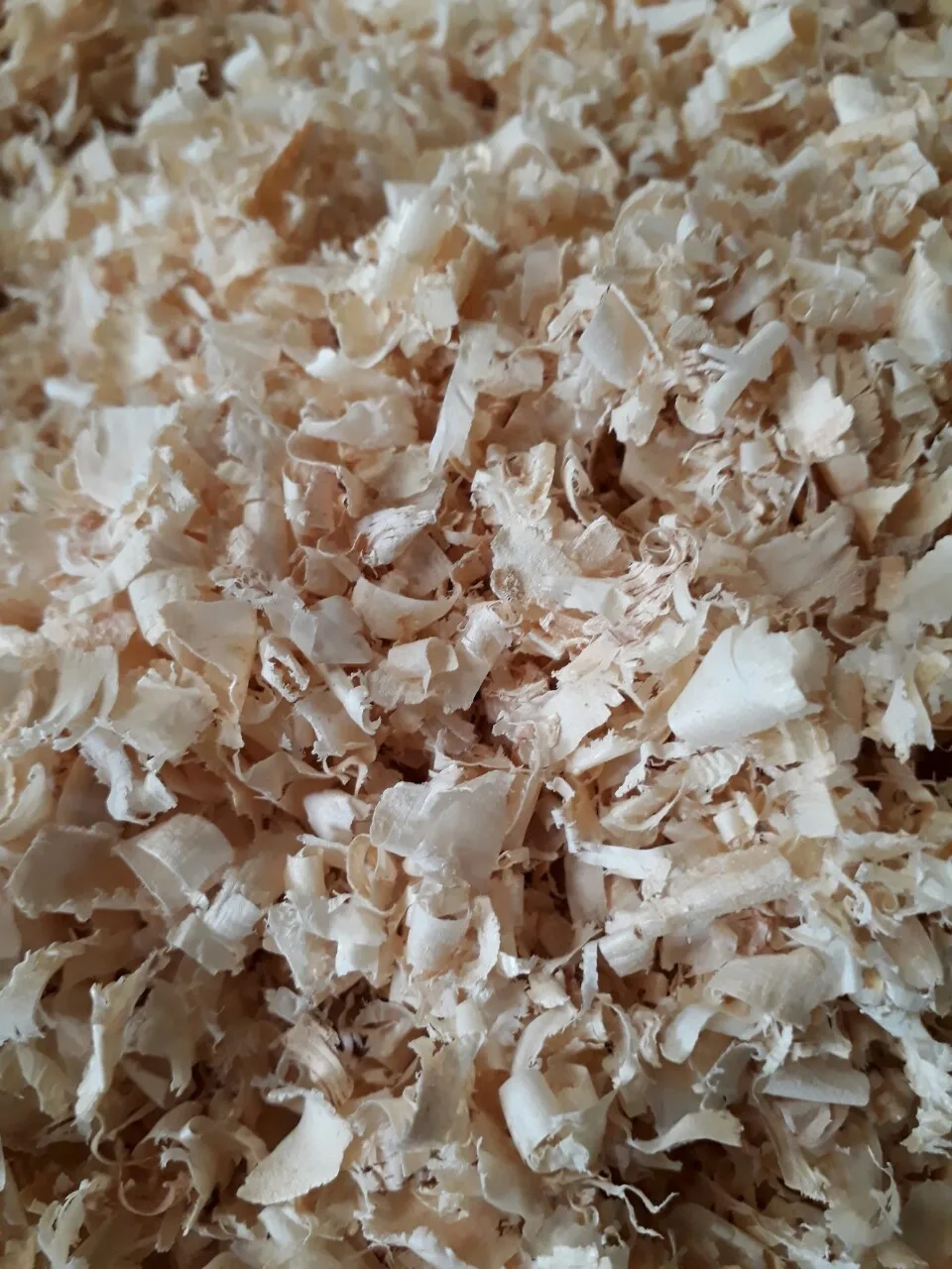 Wood Shaving For Pets Horse Bedding Wood Shaving Buy Bags For Wood