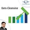 Data Cleansing Service