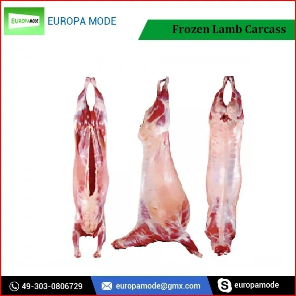 100% halal fresh/frozen sheep /goat /lamb meat