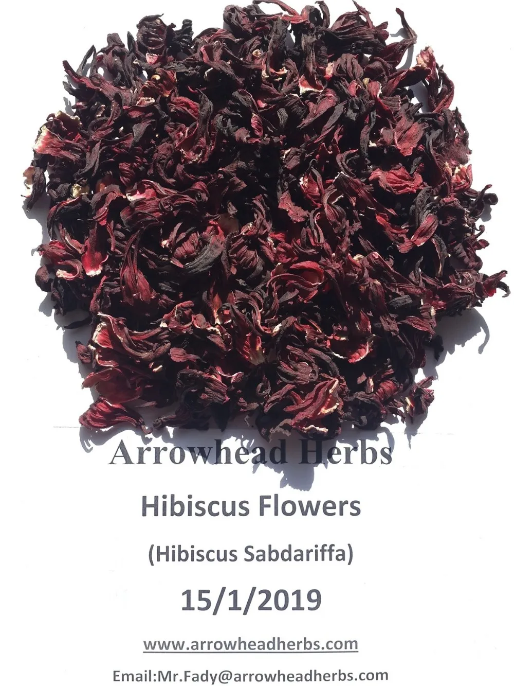 Egyptian Hibiscus Flowers High Quality With Perfect Price Crop 2018,New ...