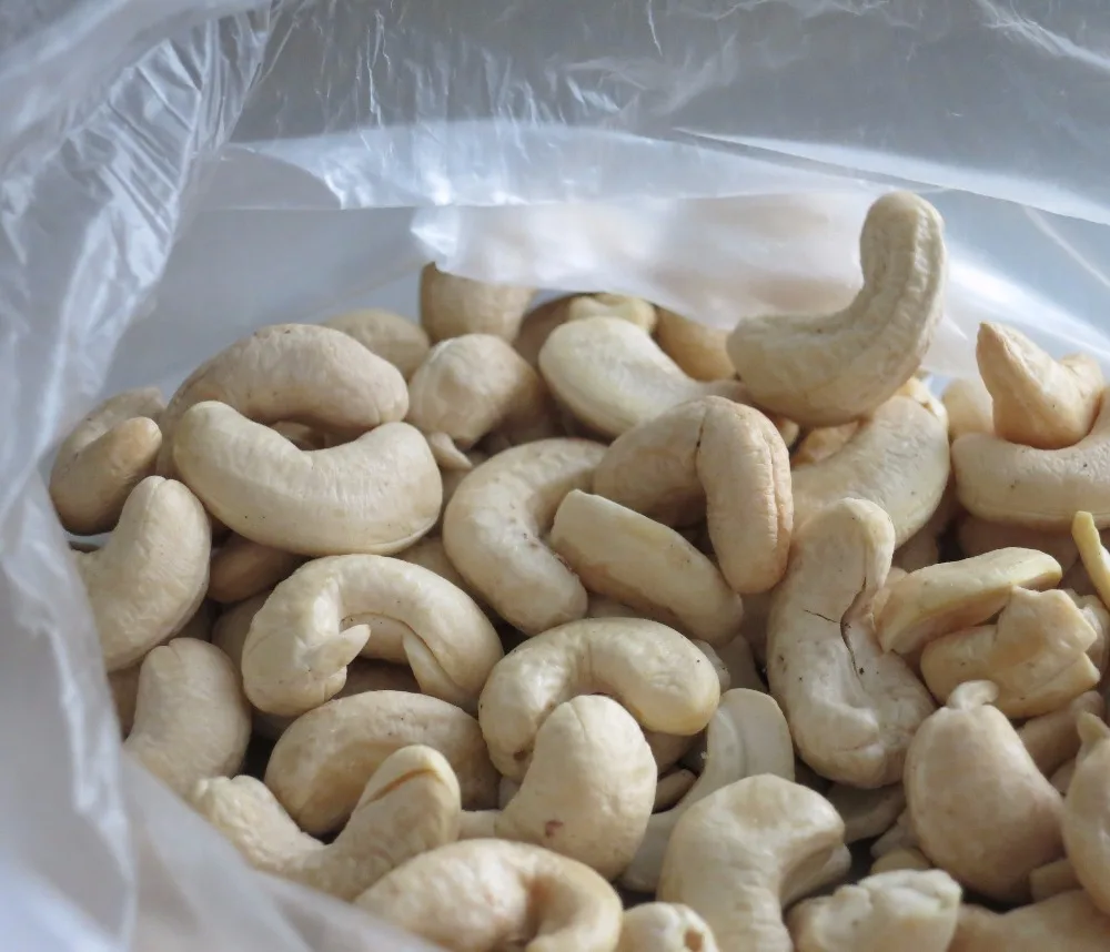 cashew nut dealers