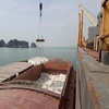 HOT SALE Vietnam grey bulk ordinary portland cement 42.5 for construction from Vietnam