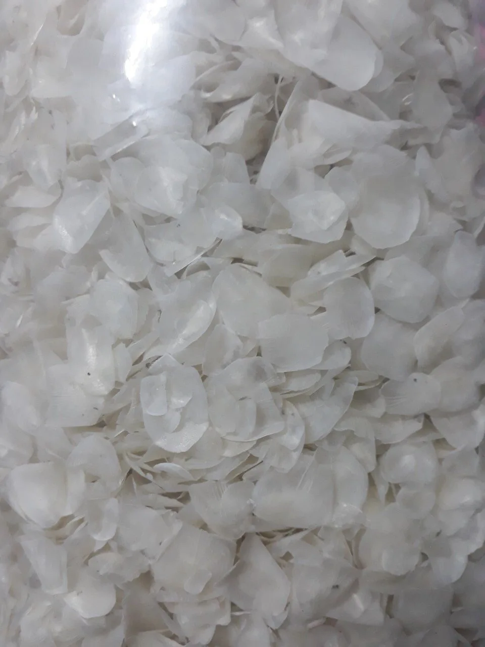 fish scales