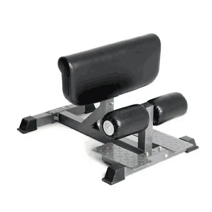 New Arrival Sissy Squat Sissy Squat Bench Gym Equipment For Sale
