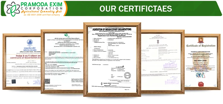 certificate.jpg