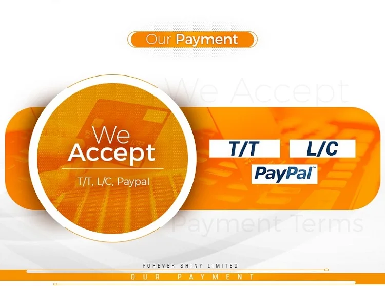 our payment