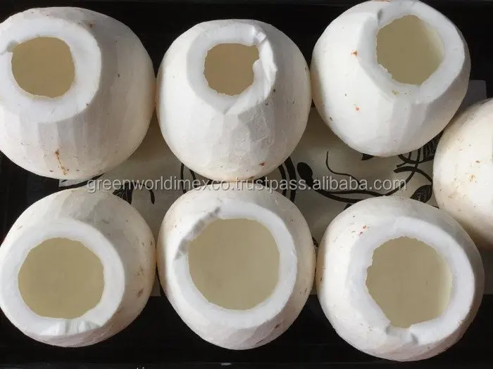 Organic Coconut Meat Premium Quality Best Seller 2018 With