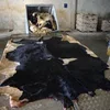 Top Quality Cow hides,wet salted cow hides,Donkey