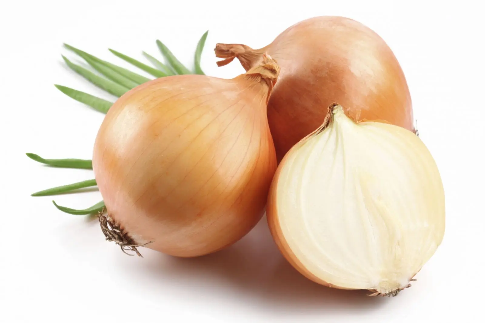 Yellow onion, brown onion, good vegetable for health