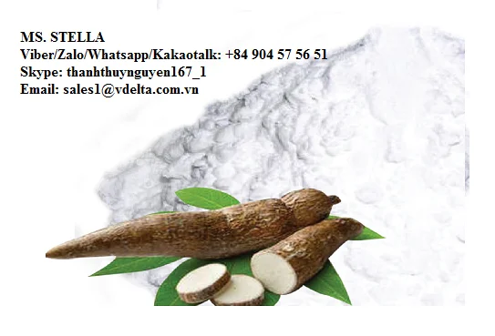 tapioca starch / cassava starch