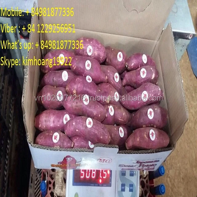 1480904115893_1197.jpg