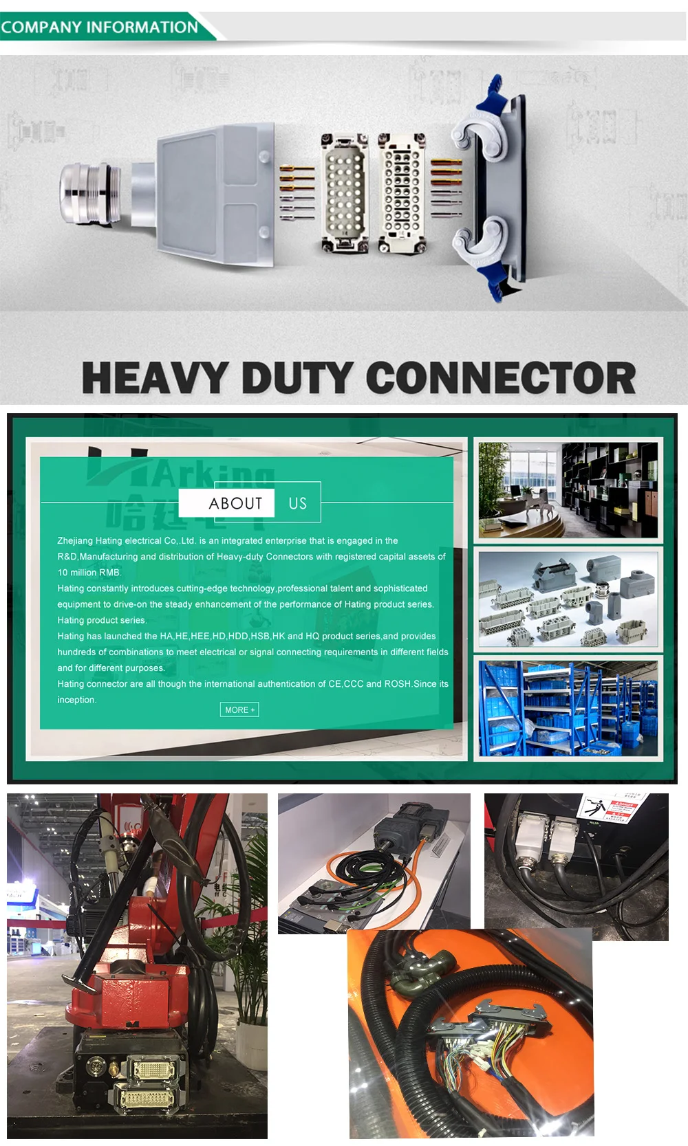 Company information.jpg