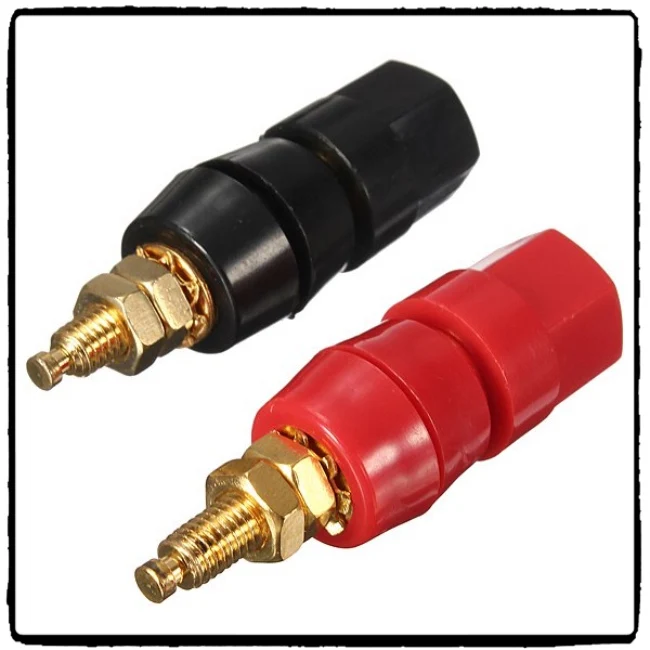 Binding Posts_Fotor.jpg