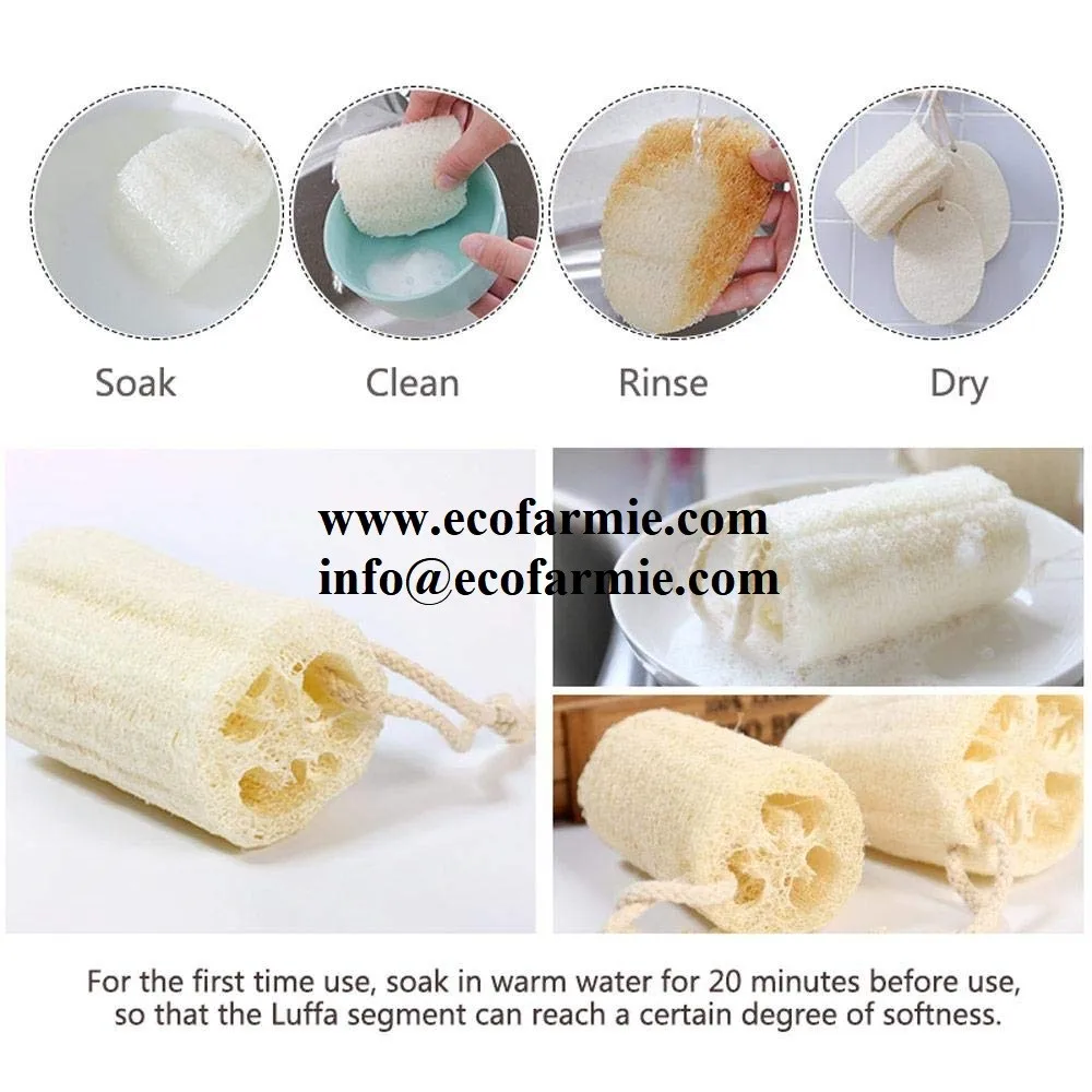 Cheap Loofah Sponge From Vietnam/ Raw Loofah Sponge For Cleaning/ Luffa