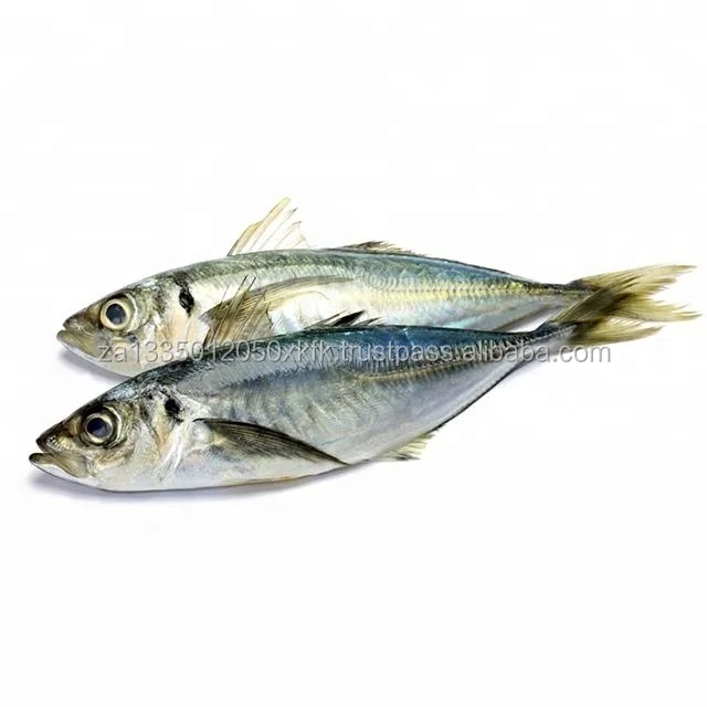 MIX4.jpg