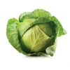 2019 new season fresh round and flat cabbage supplying all the year round to world