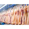 FDA Certified Frozen Pork Meat With Quality Packaging
