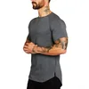 premium muscle fit tshirt with precision edged round neck and tapered bottom tshirts