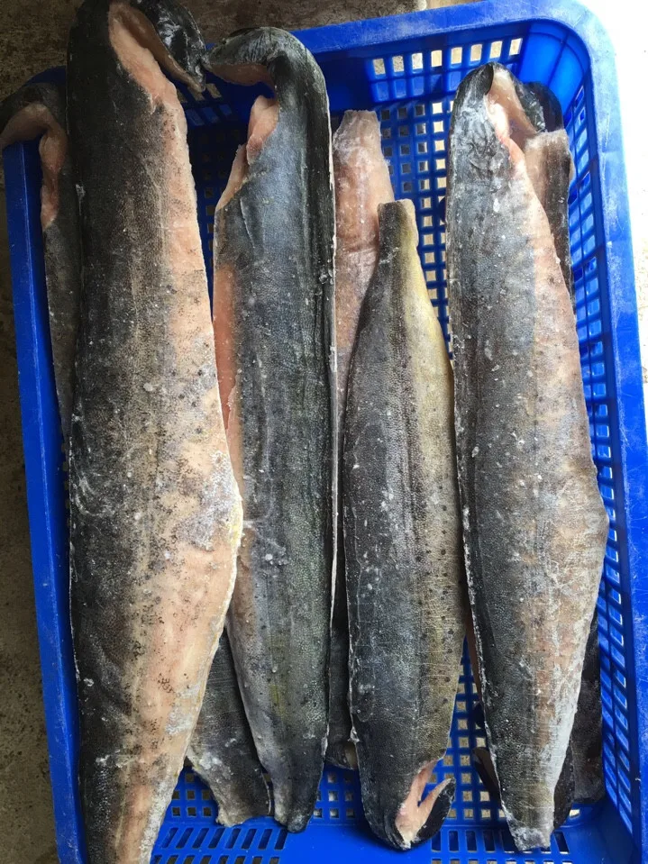 Frozen Mahi Mahi Fillet Whole Round (viber,Whatsapp) +84 989322607 Buy Frozen Seafood,Mahi